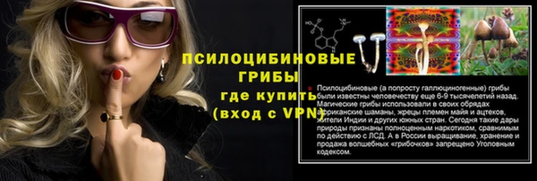 молекула духа Михайлов