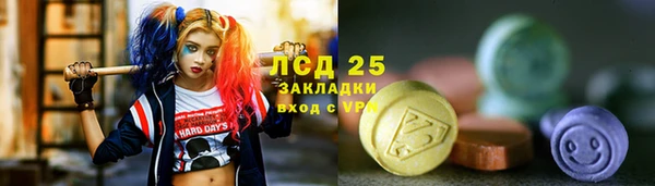 герыч Ельня