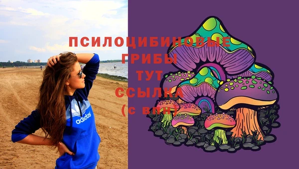 герыч Ельня