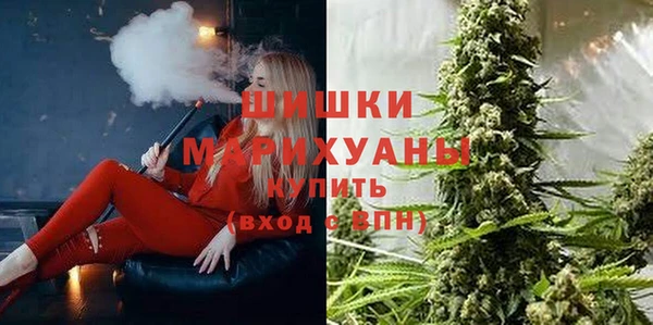 стаф Михайловск