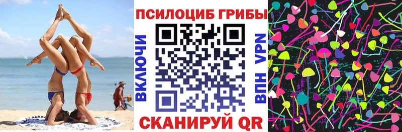 купить   Заринск  Псилоцибиновые грибы Psilocybe 