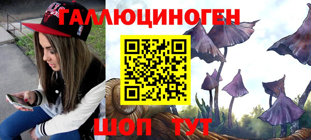 Псилоцибиновые грибы мухоморы  Вход с VPN  Заринск 