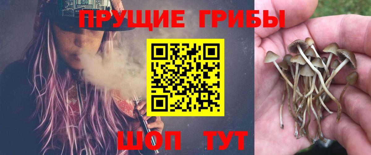 Галлюциногенные грибы прущие грибы Заринск